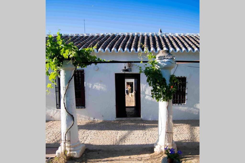 Villa Casa El Carmen Ciudad Real Esterno foto